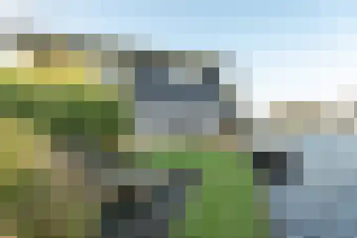Jongebuorren 25 Terherne thumbnail 9
