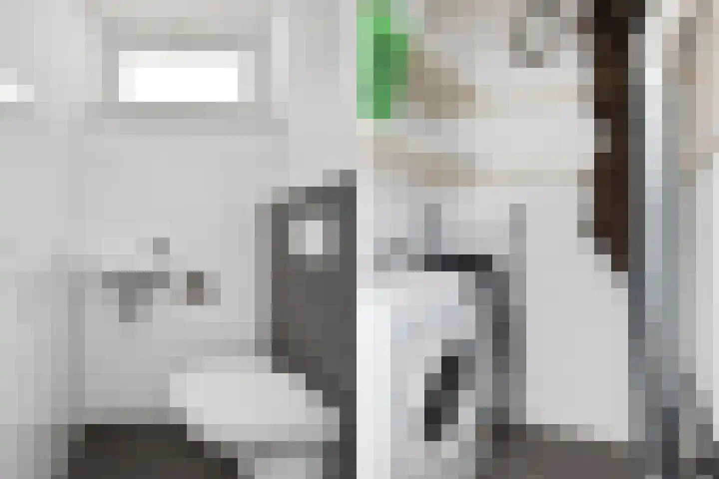 Jongebuorren 29 Terherne thumbnail 14