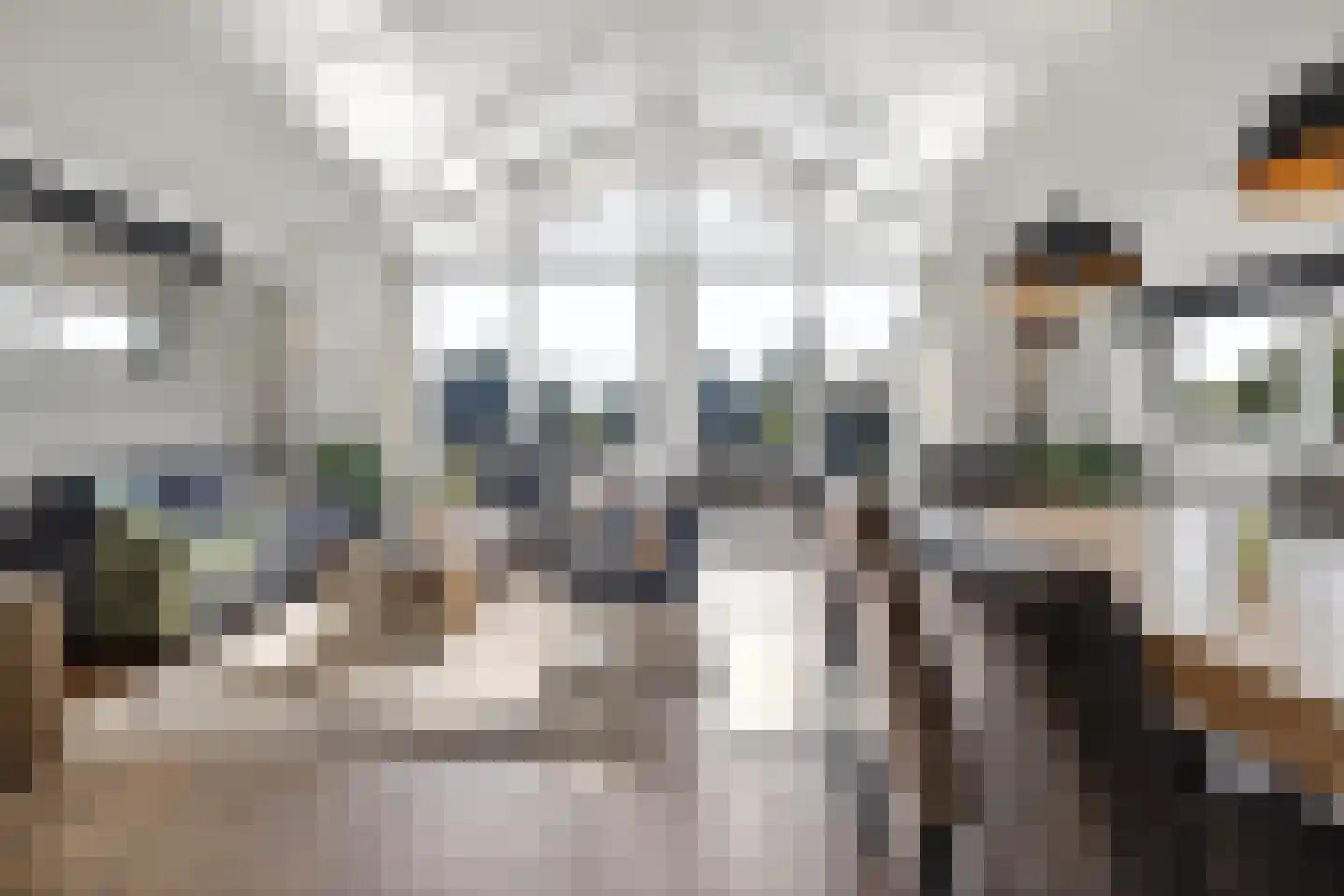 Jongebuorren 29 Terherne thumbnail 17