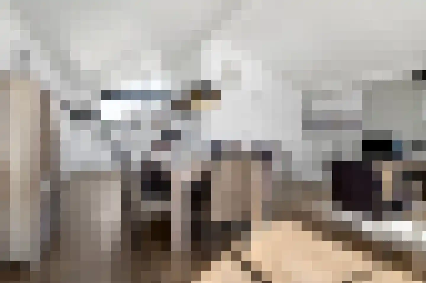 Jongebuorren 29 Terherne thumbnail 18