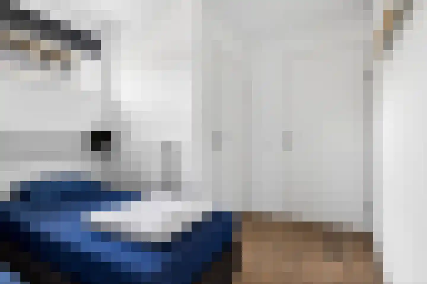 Jongebuorren 29 Terherne thumbnail 24