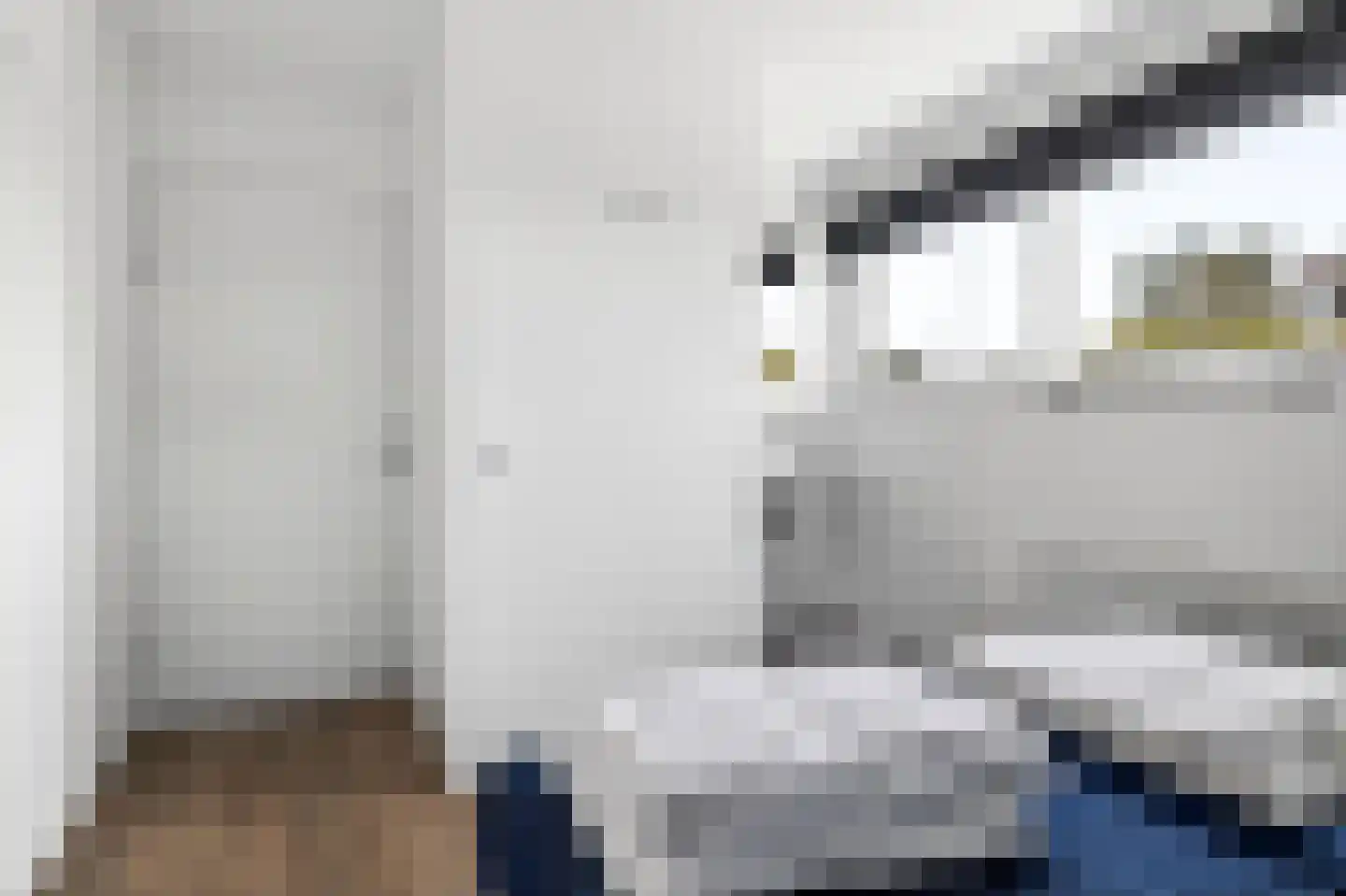Jongebuorren 29 Terherne thumbnail 26