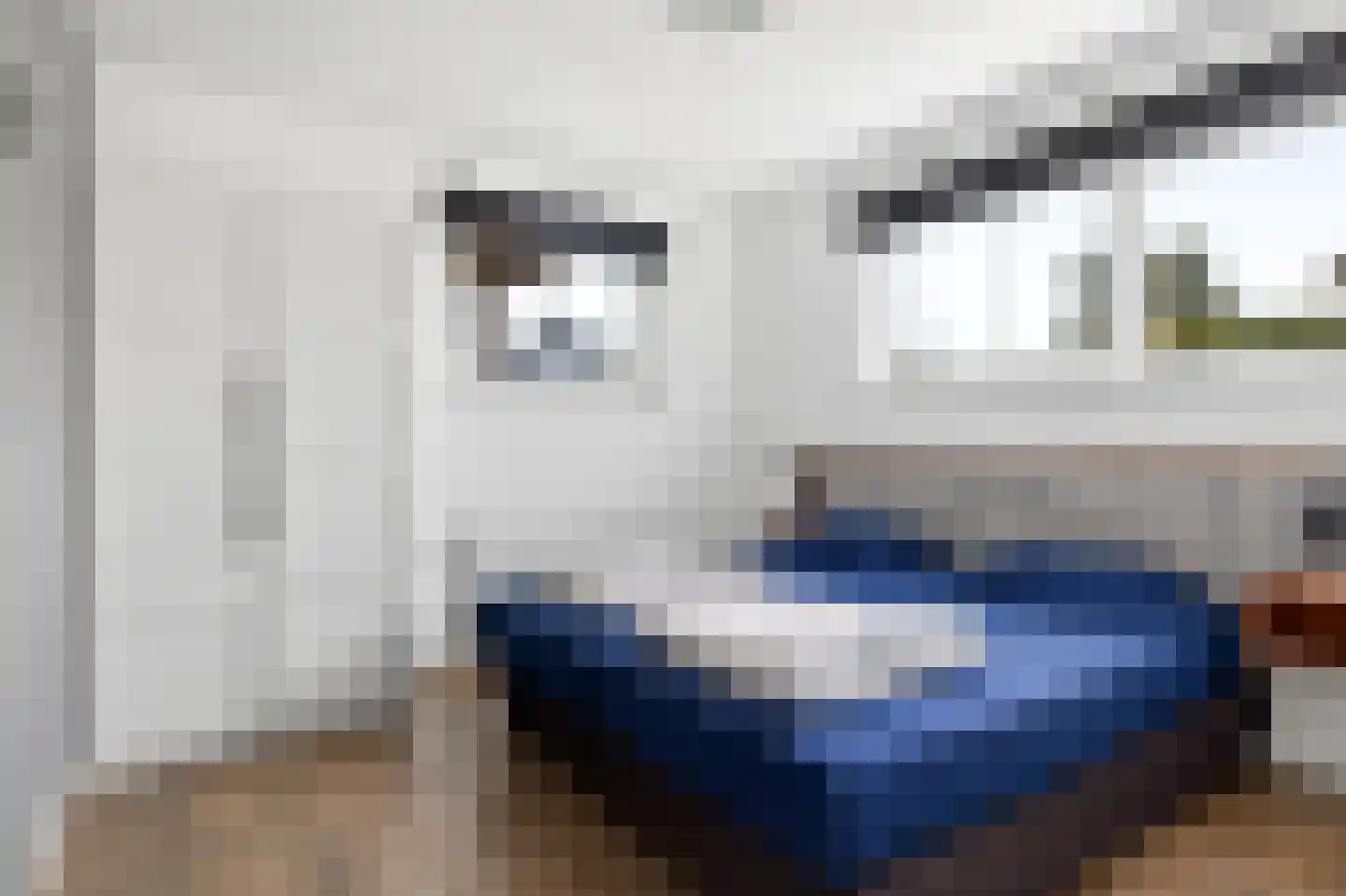 Jongebuorren 29 Terherne thumbnail 28