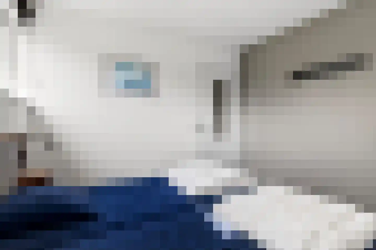 Jongebuorren 29 Terherne thumbnail 29