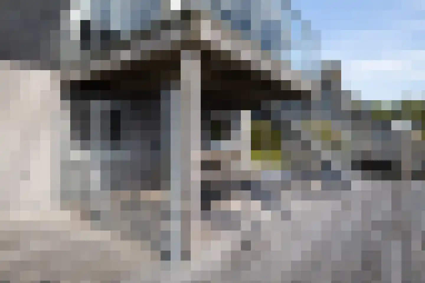 Jongebuorren 29 Terherne thumbnail 9