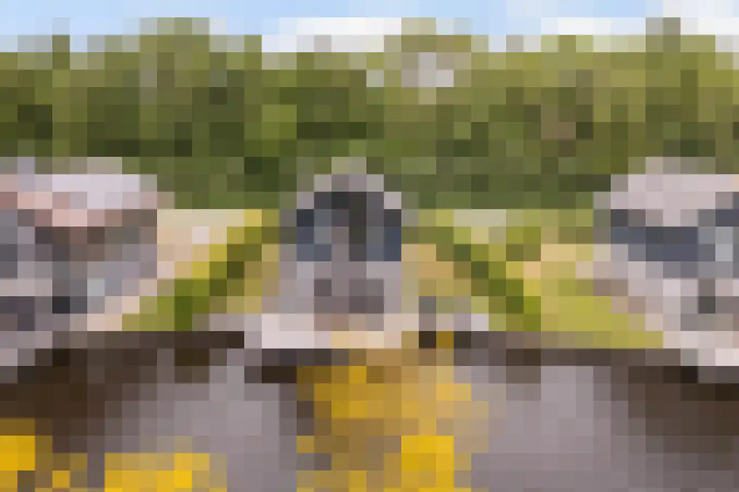 Jongebuorren 33 Terherne thumbnail 11