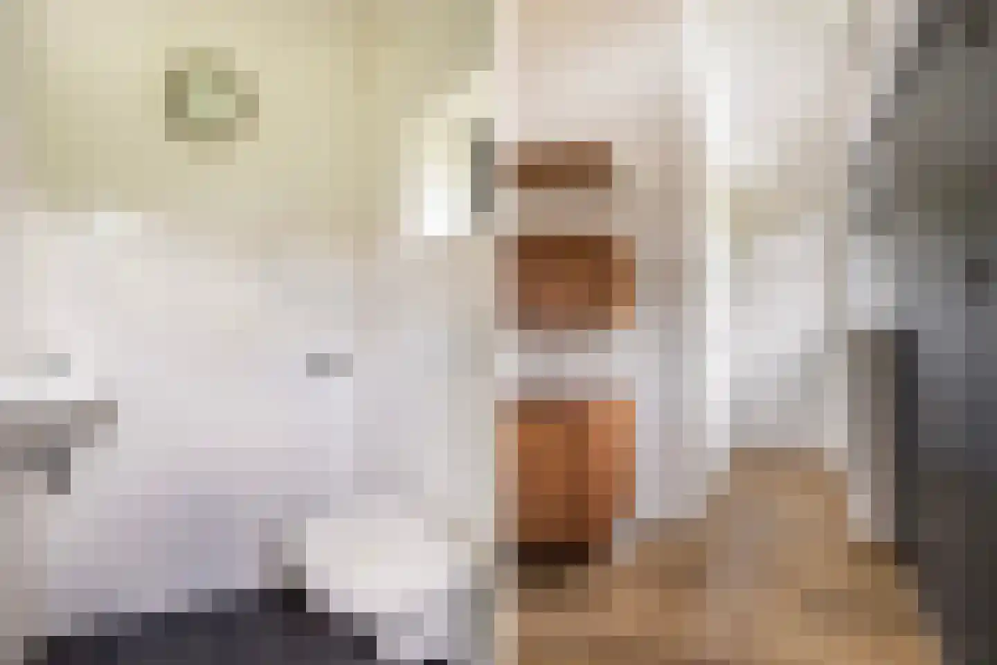 Jongebuorren 33 Terherne thumbnail 13
