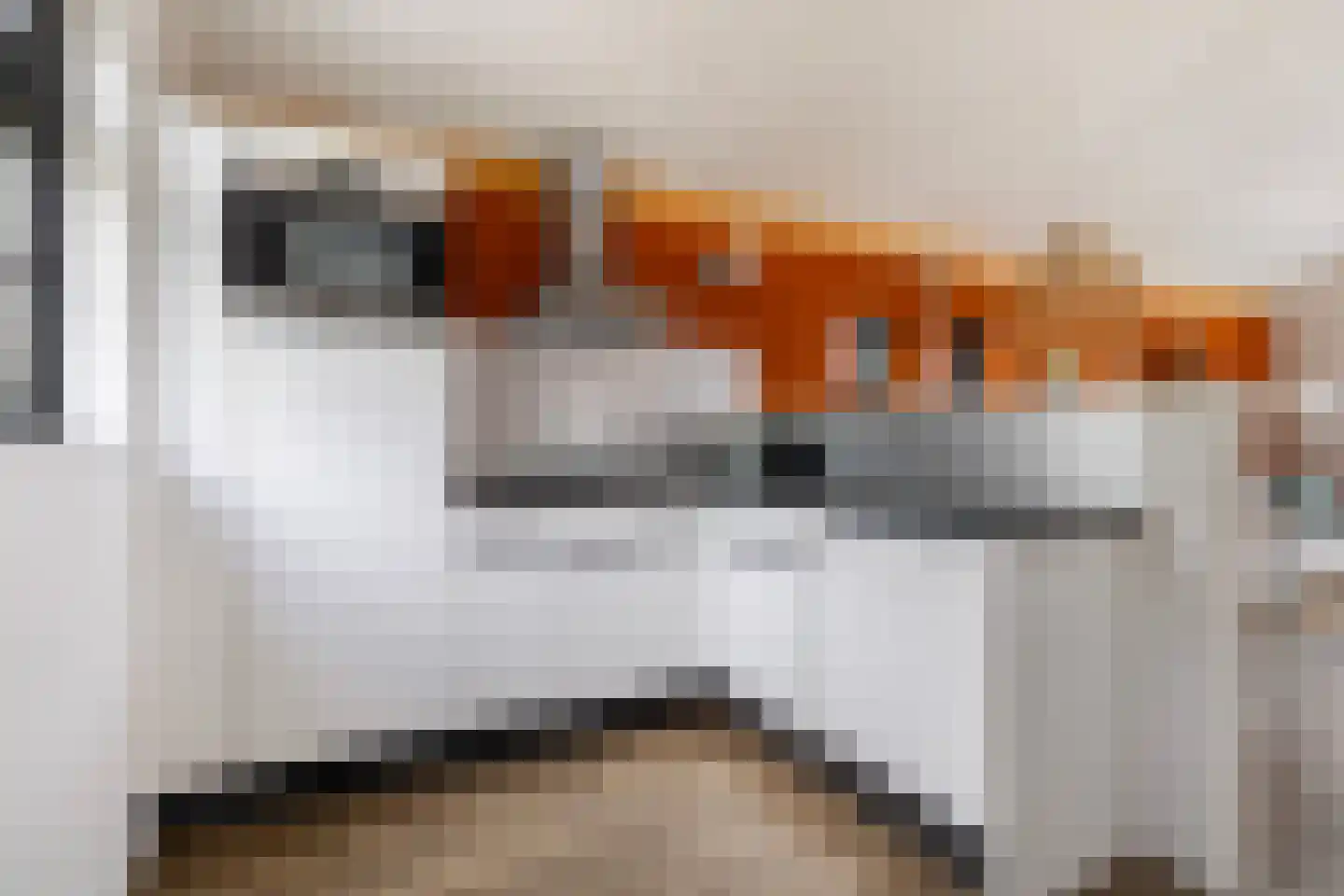 Jongebuorren 33 Terherne thumbnail 14