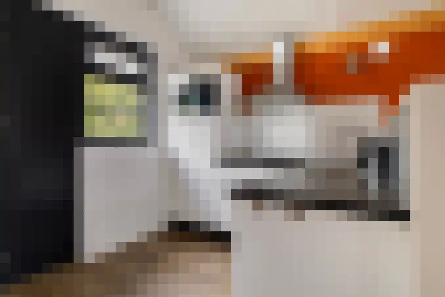 Jongebuorren 33 Terherne thumbnail 15