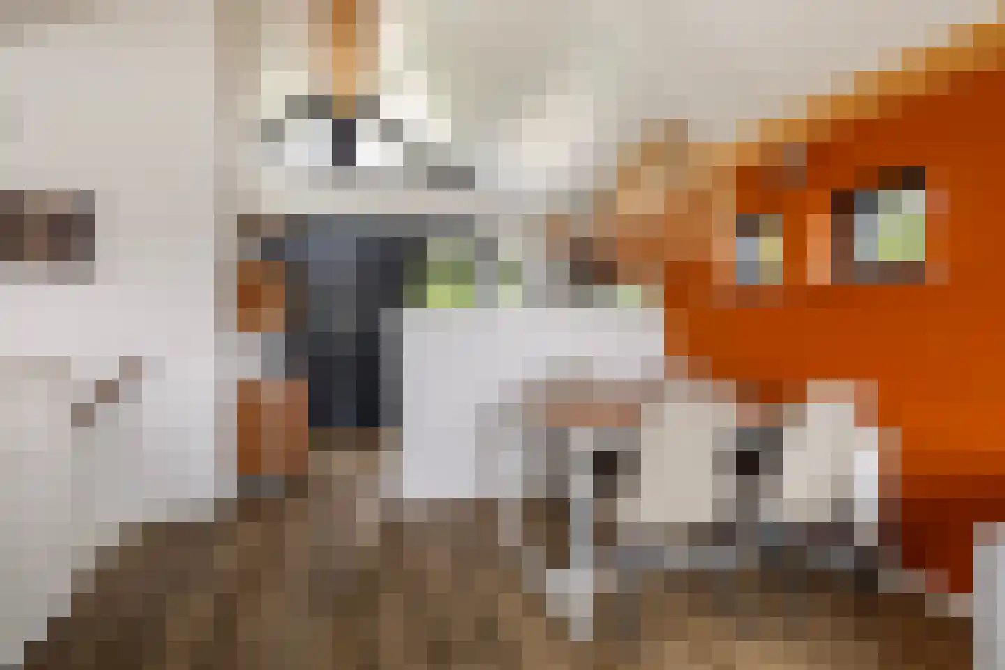 Jongebuorren 33 Terherne thumbnail 18