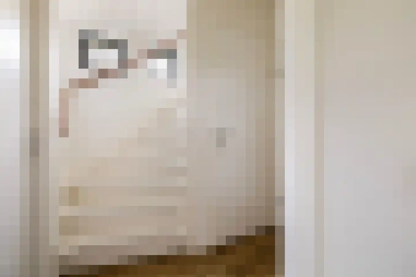 Jongebuorren 33 Terherne thumbnail 23