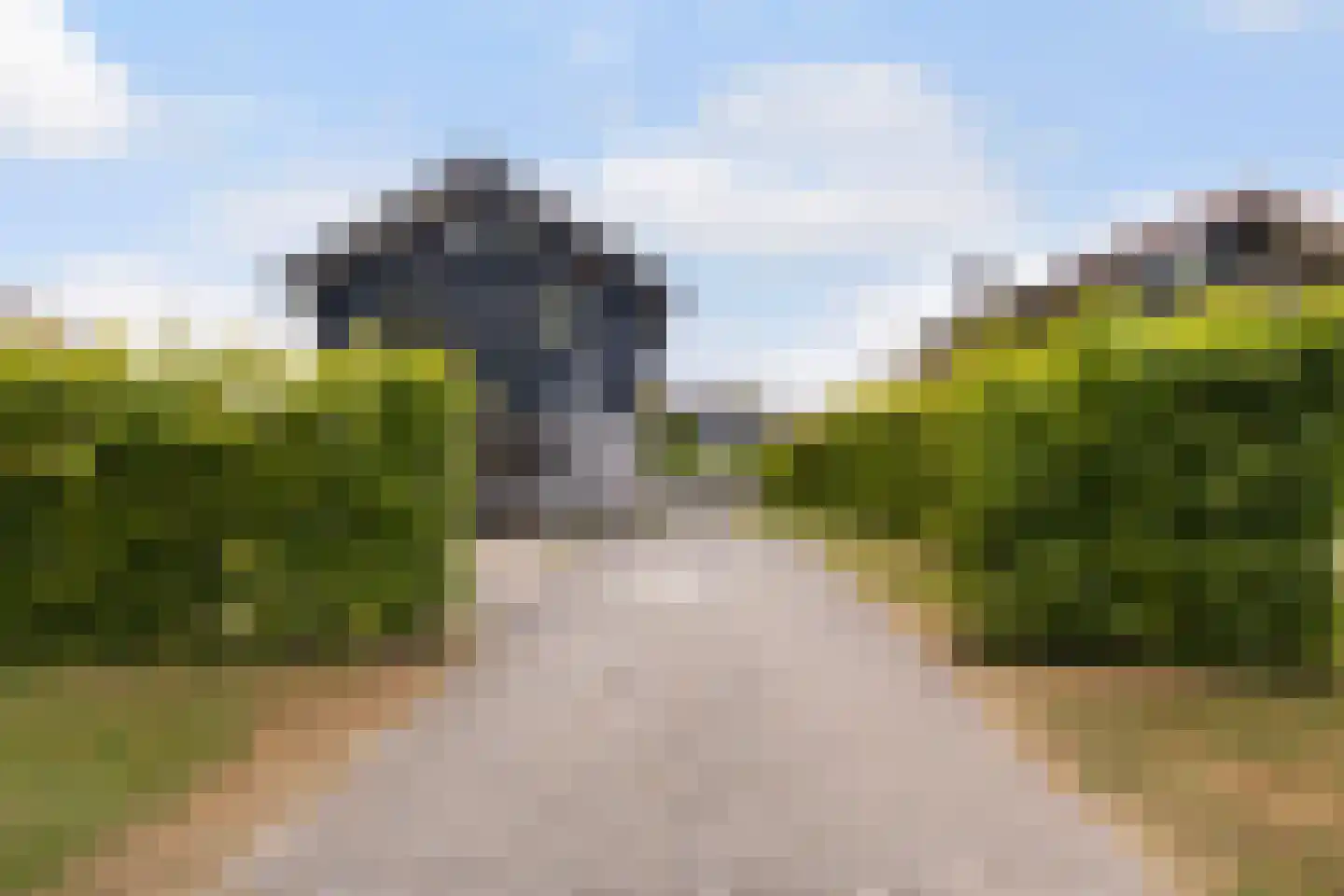 Jongebuorren 33 Terherne thumbnail 31
