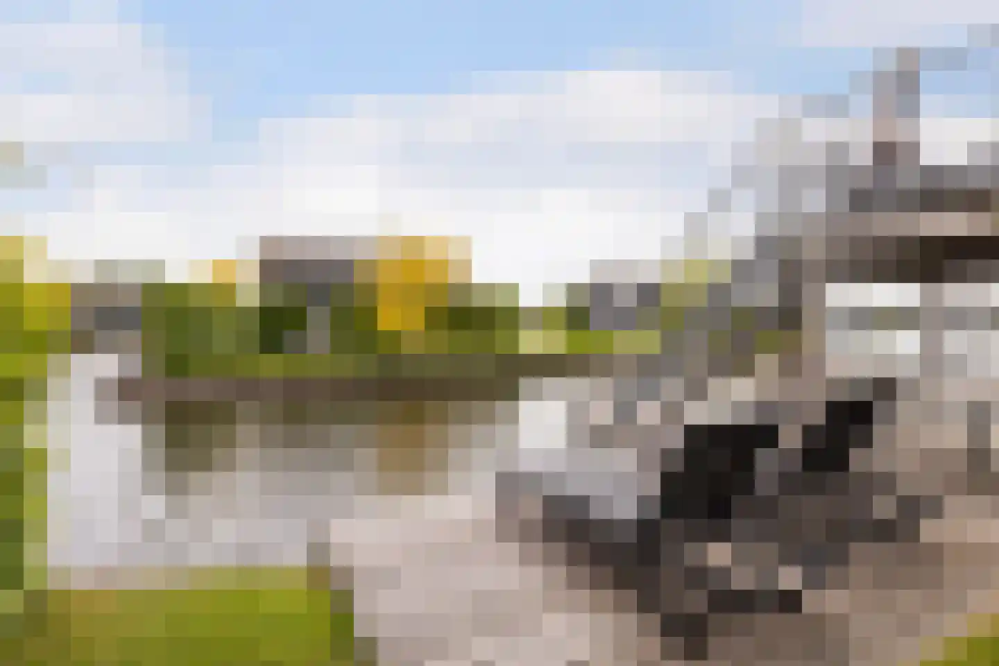 Jongebuorren 33 Terherne thumbnail 4