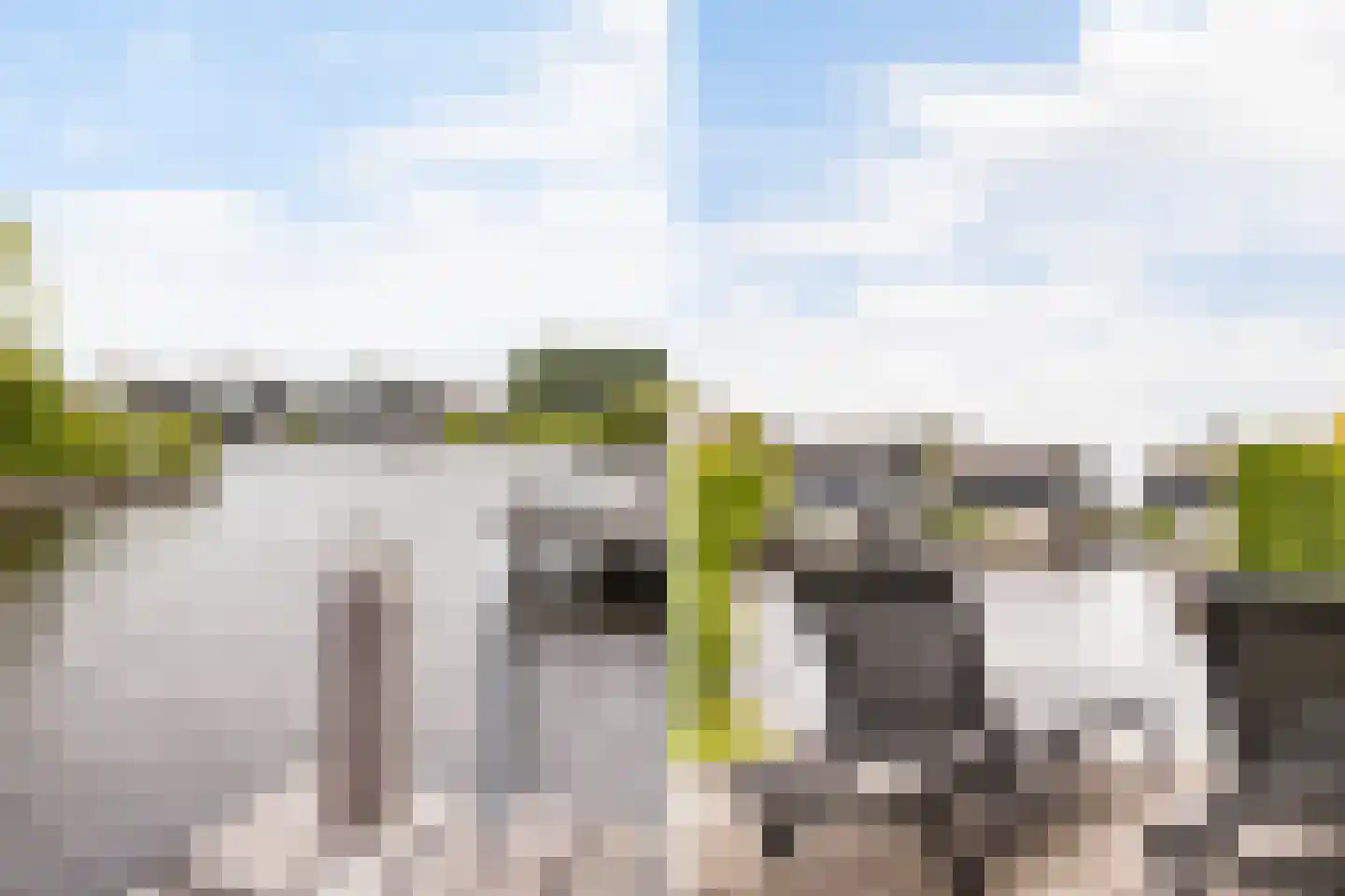 Jongebuorren 33 Terherne thumbnail 5