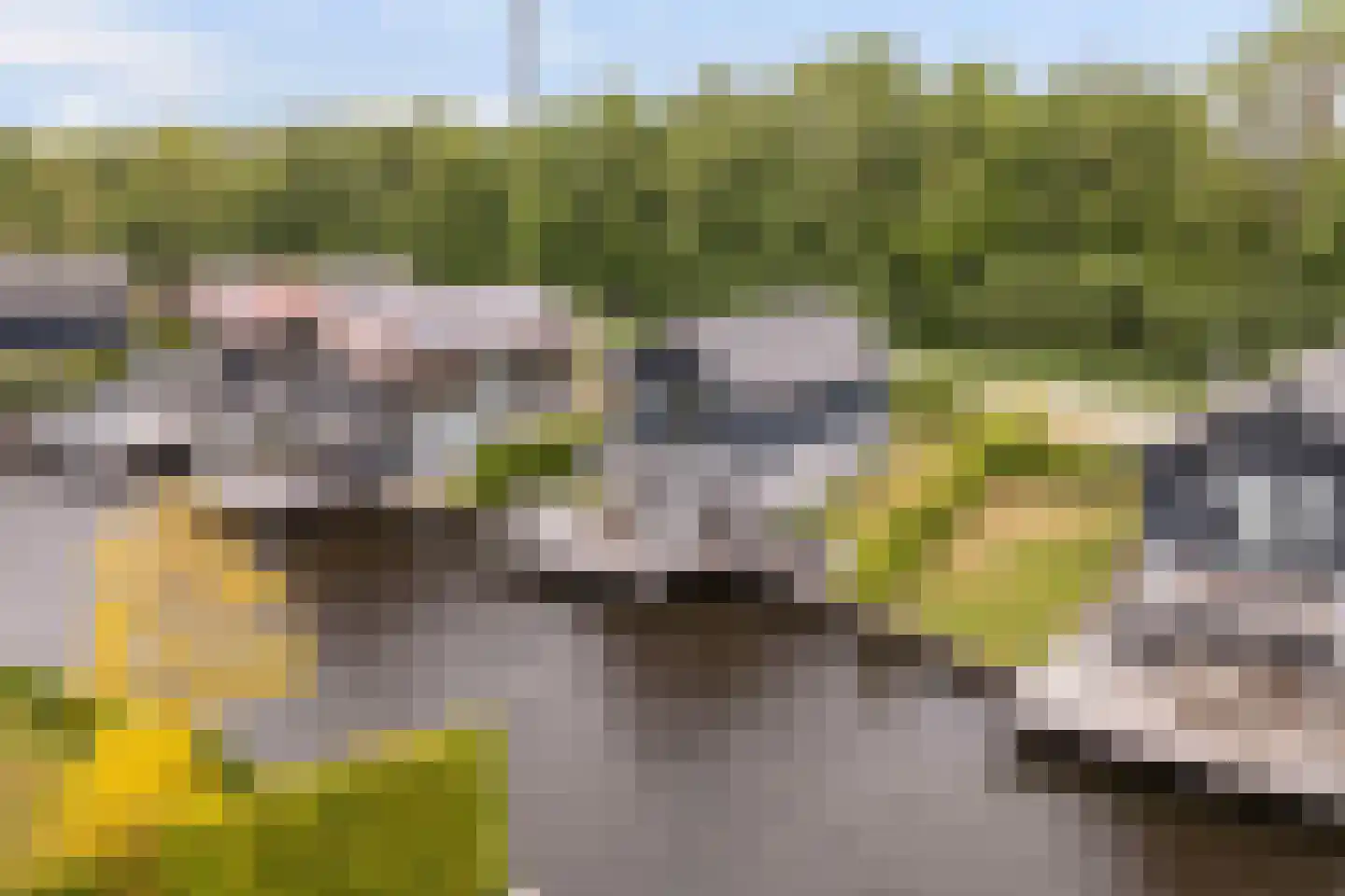 Jongebuorren 33 Terherne thumbnail 7