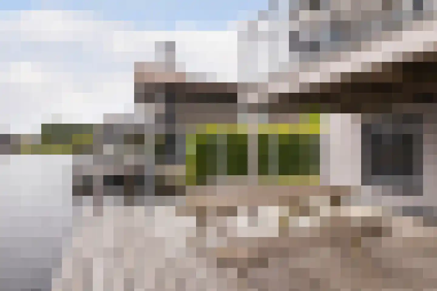 Jongebuorren 33 Terherne thumbnail 8
