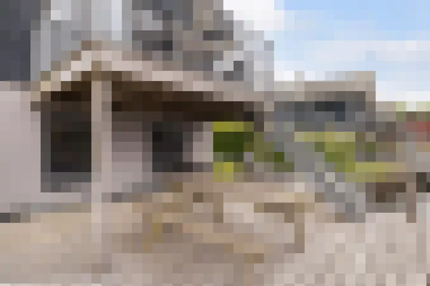 Jongebuorren 33 Terherne thumbnail 9