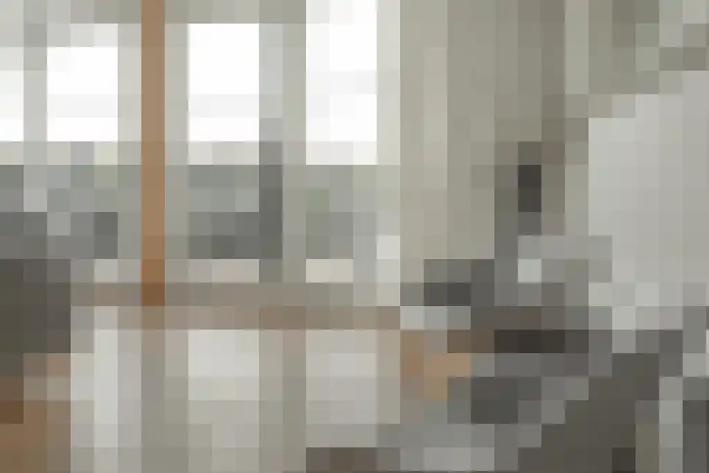 Jongebuorren 37 Terherne thumbnail 11