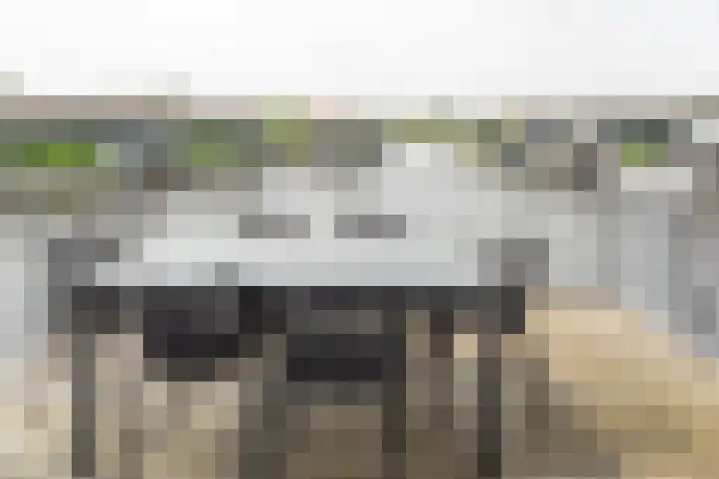 Jongebuorren 37 Terherne thumbnail 12