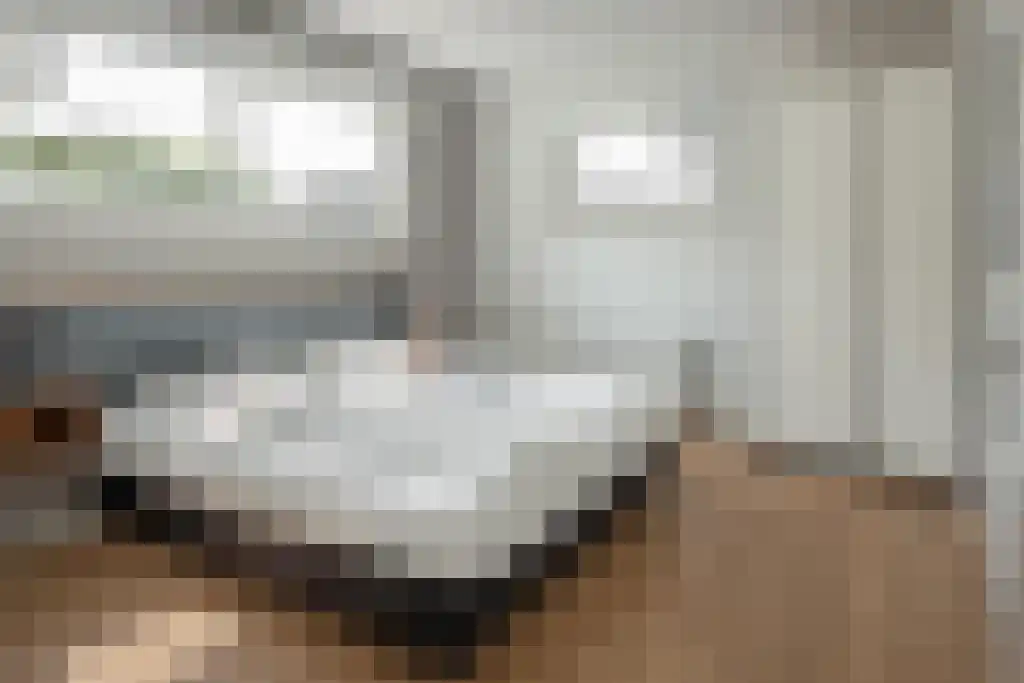 Jongebuorren 37 Terherne thumbnail 15