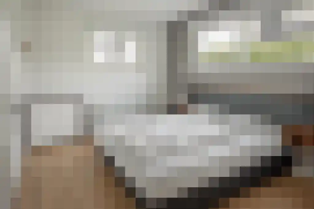 Jongebuorren 37 Terherne thumbnail 16