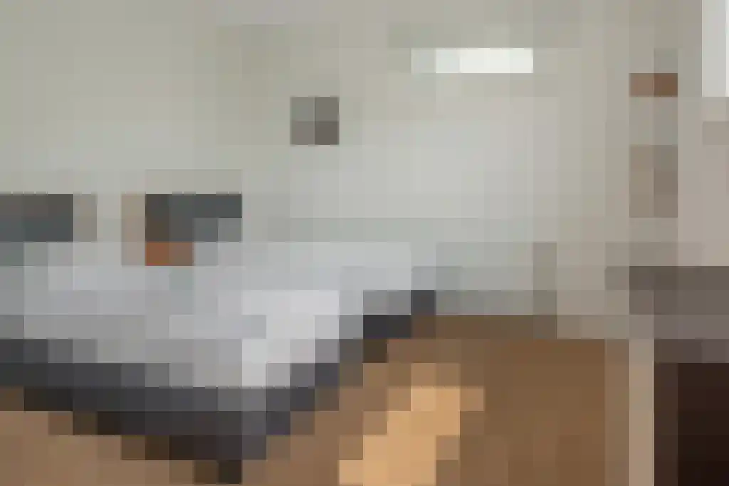 Jongebuorren 37 Terherne thumbnail 17