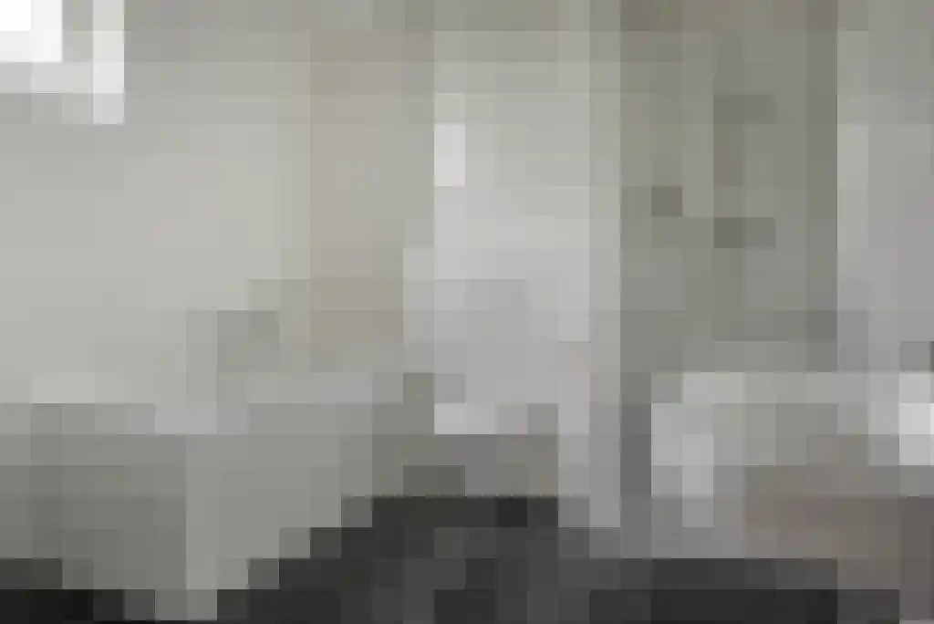Jongebuorren 37 Terherne thumbnail 18