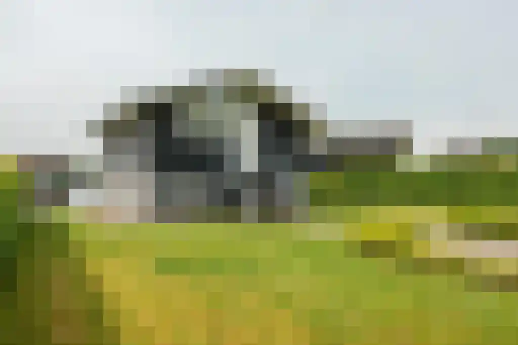 Jongebuorren 37 Terherne thumbnail 21