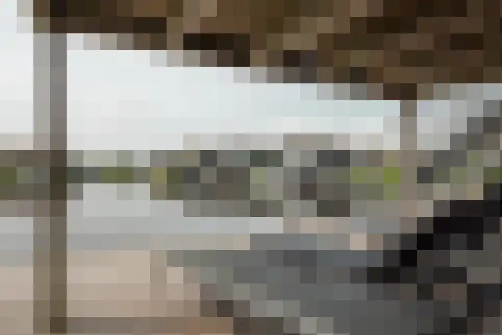 Jongebuorren 37 Terherne thumbnail 24