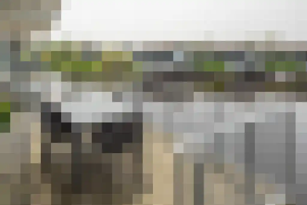 Jongebuorren 37 Terherne thumbnail 25