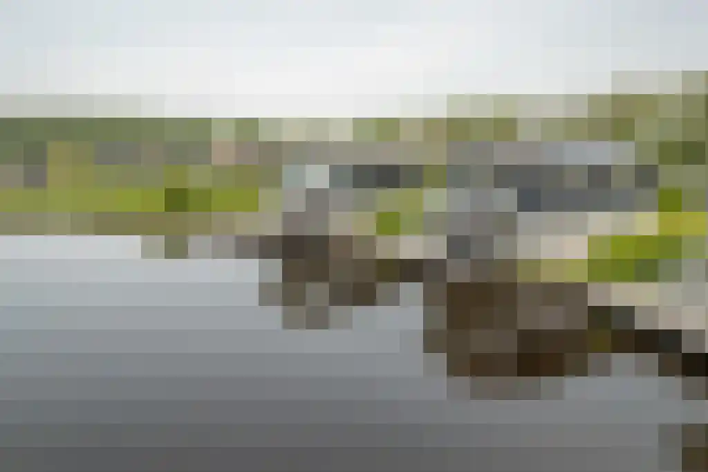 Jongebuorren 37 Terherne thumbnail 27