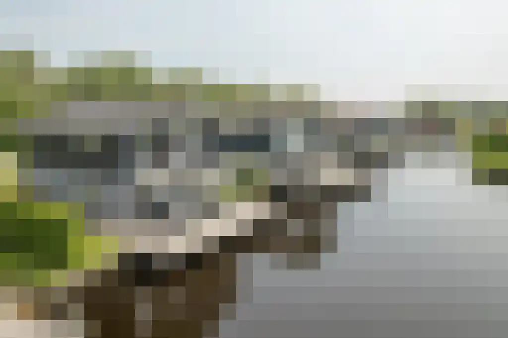 Jongebuorren 37 Terherne thumbnail 28