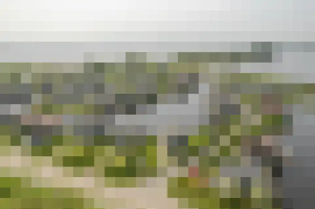 Jongebuorren 37 Terherne thumbnail 29