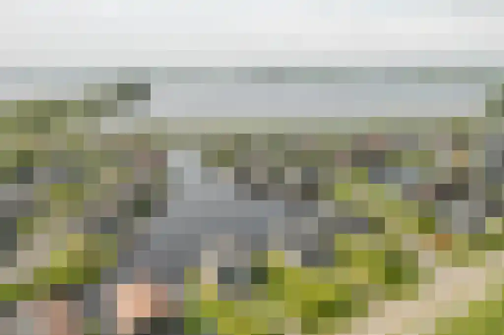 Jongebuorren 37 Terherne thumbnail 30