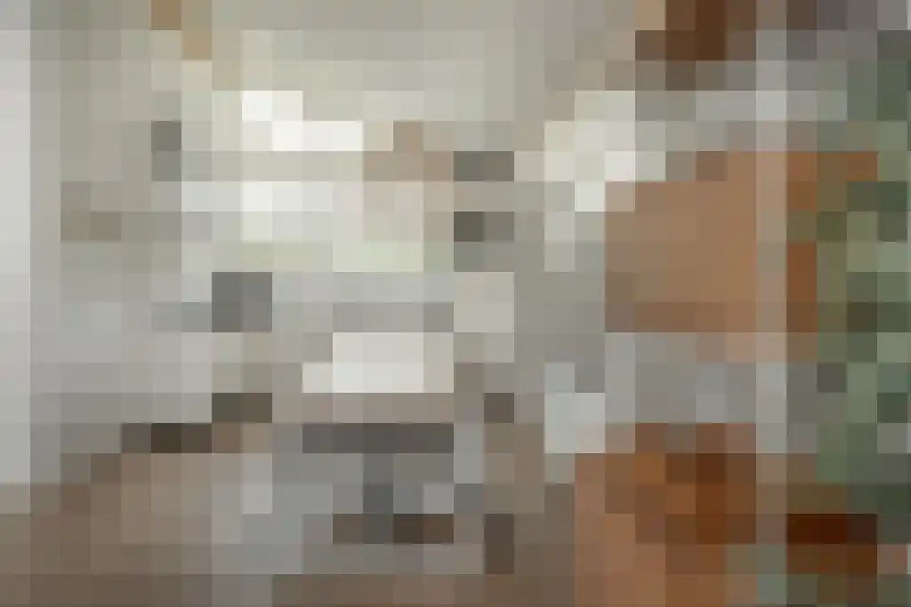 Jongebuorren 37 Terherne thumbnail 5