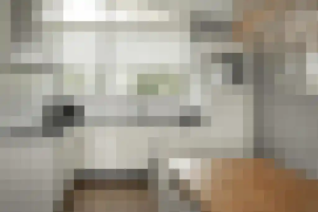 Jongebuorren 37 Terherne thumbnail 6