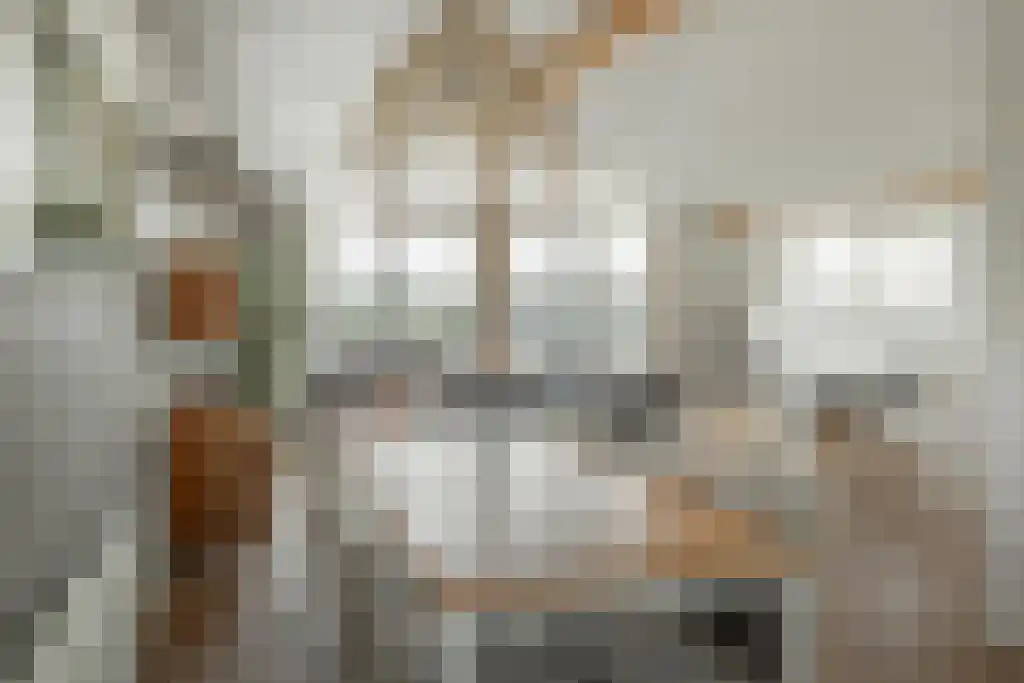 Jongebuorren 37 Terherne thumbnail 8
