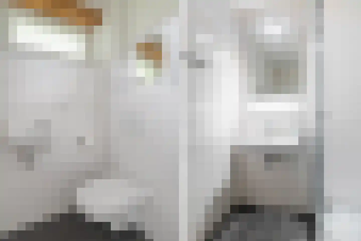 Jongebuorren 40 Terherne thumbnail 11