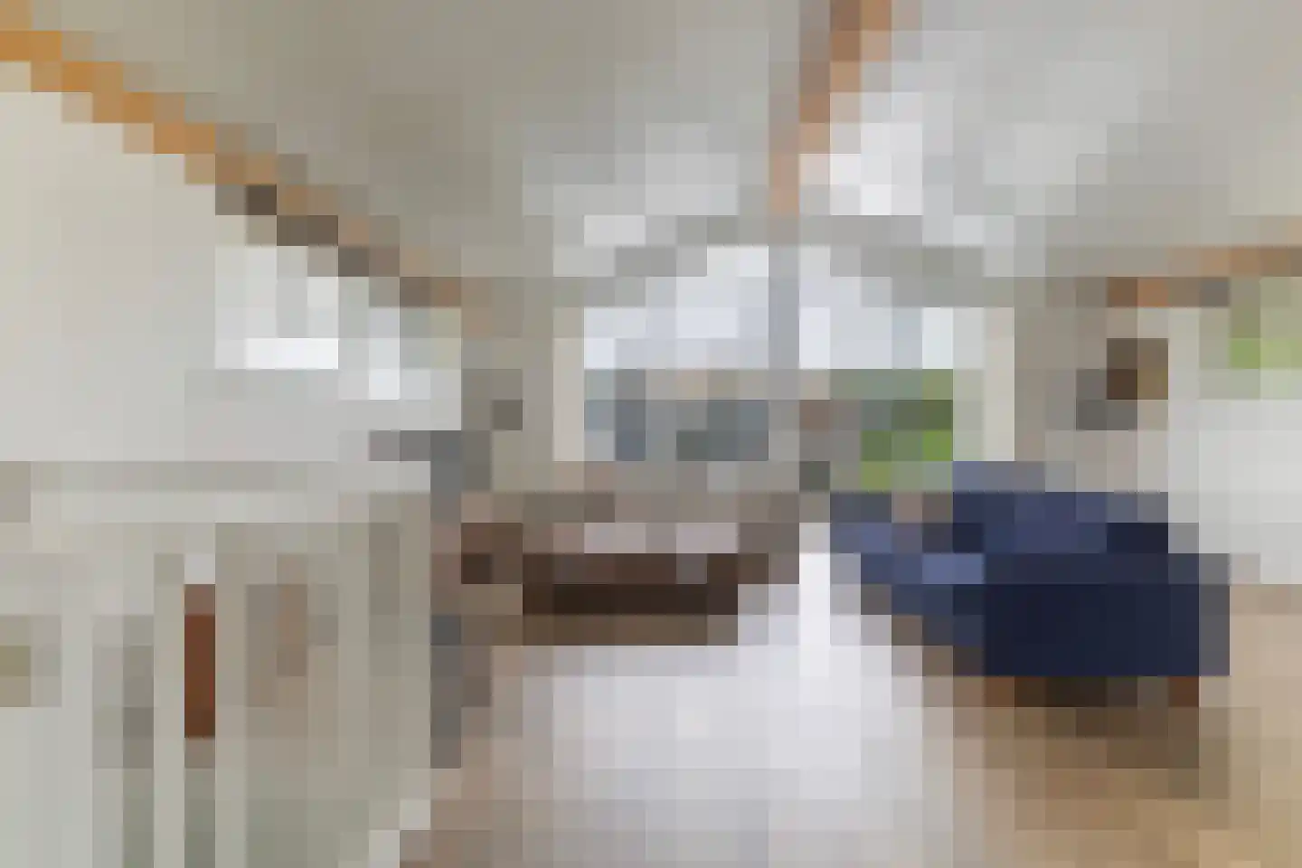 Jongebuorren 40 Terherne thumbnail 13