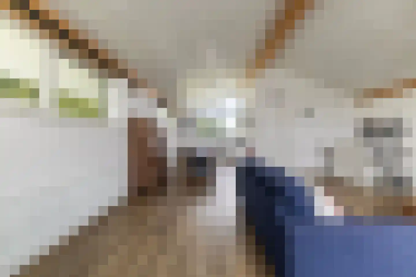 Jongebuorren 40 Terherne thumbnail 14
