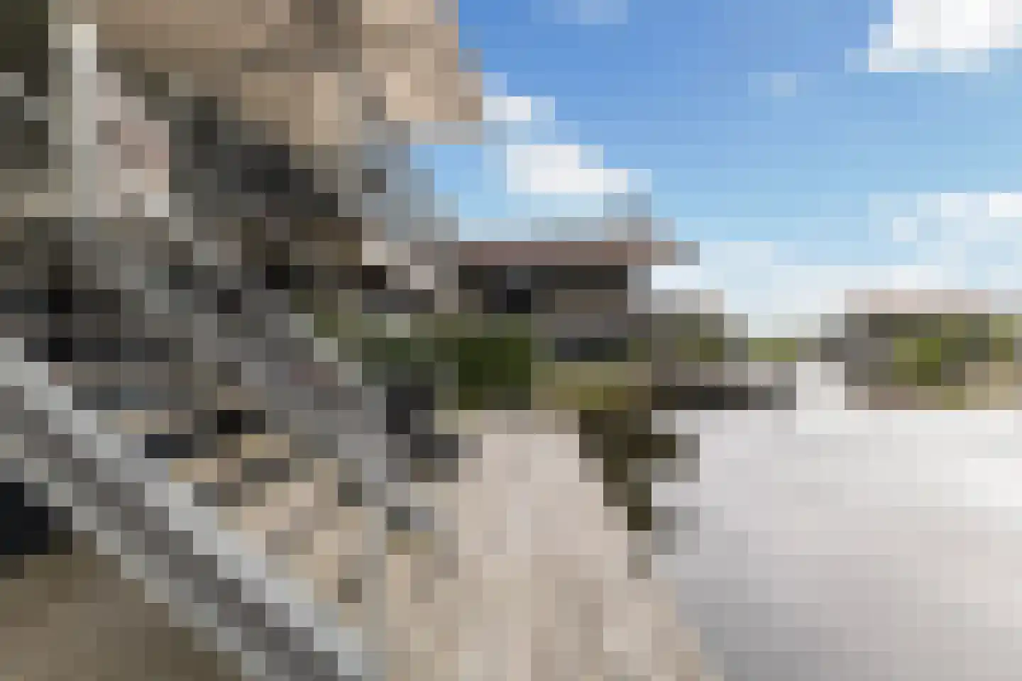 Jongebuorren 40 Terherne thumbnail 18
