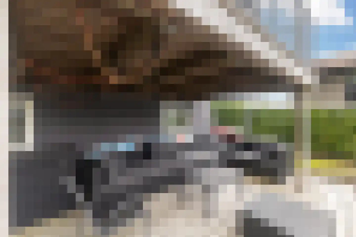 Jongebuorren 40 Terherne thumbnail 19