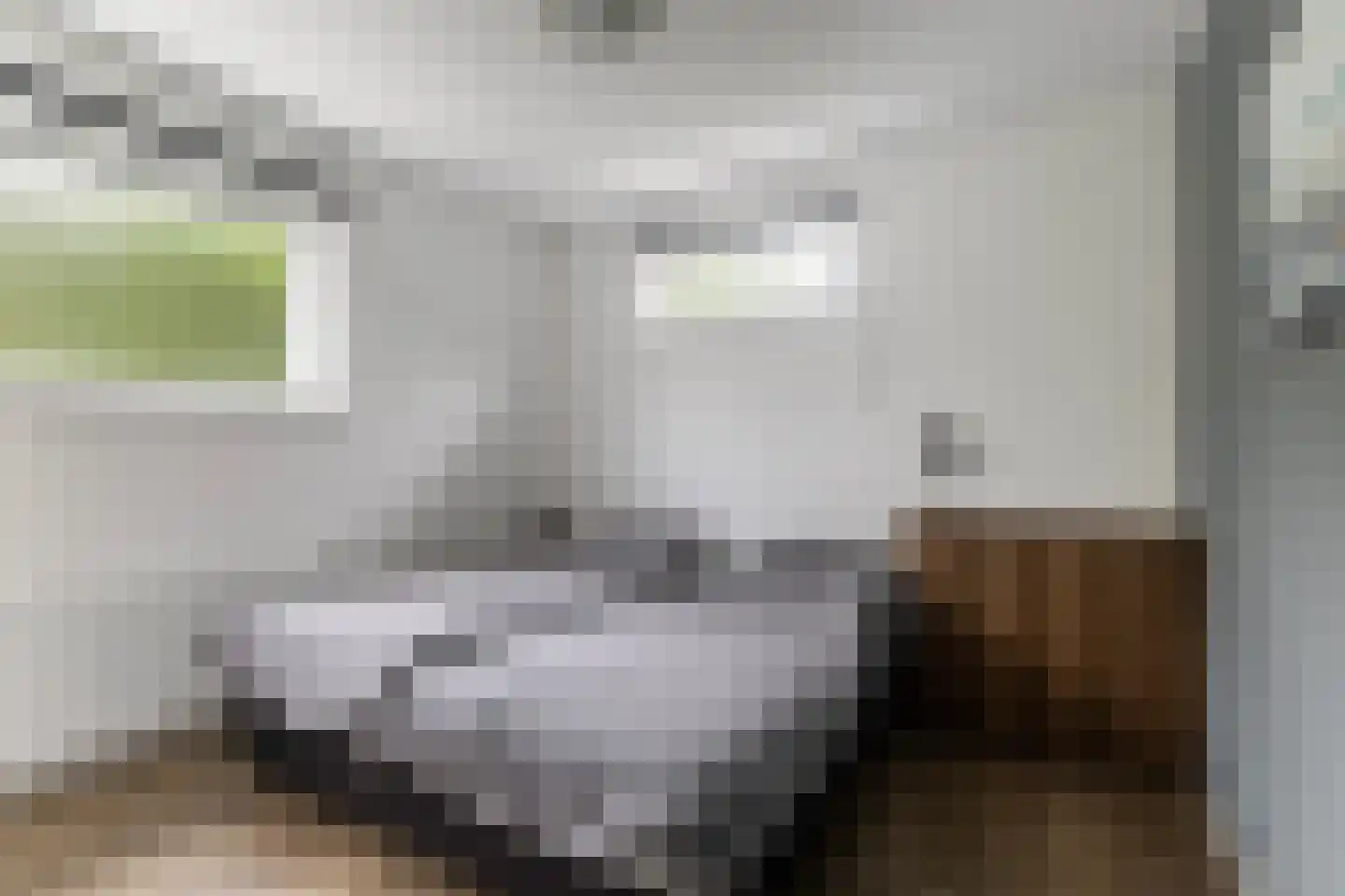 Jongebuorren 40 Terherne thumbnail 21