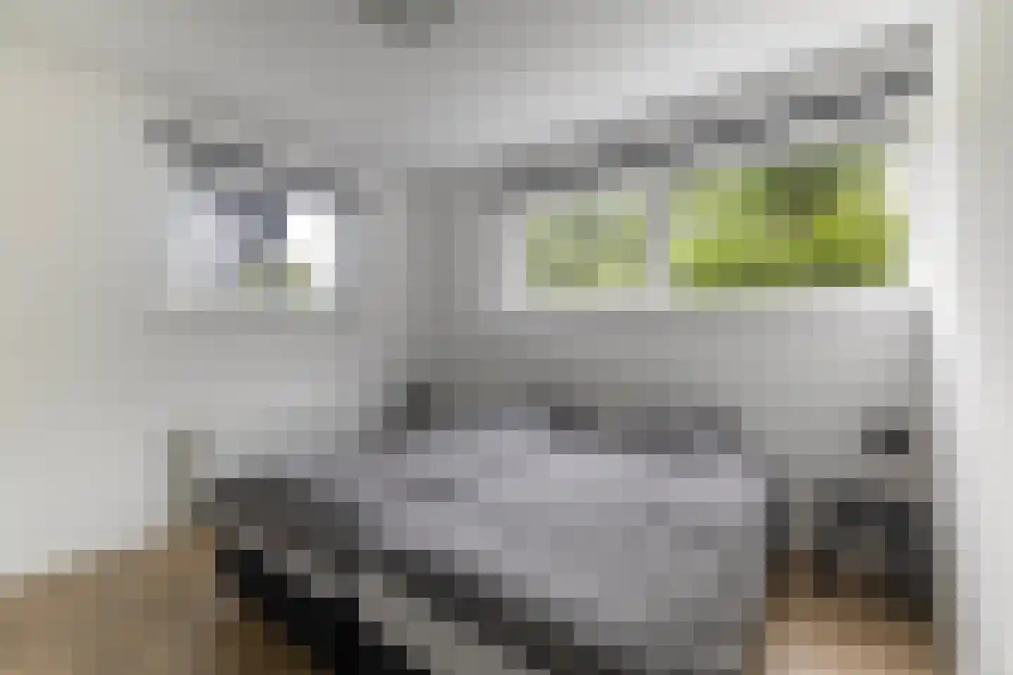Jongebuorren 40 Terherne thumbnail 22