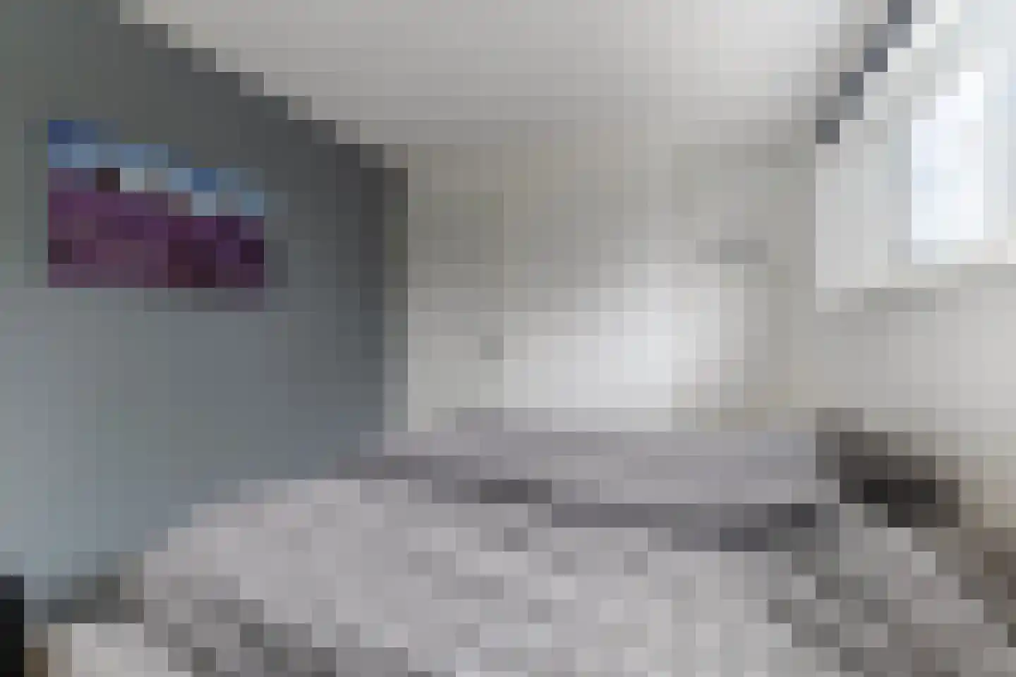 Jongebuorren 40 Terherne thumbnail 23