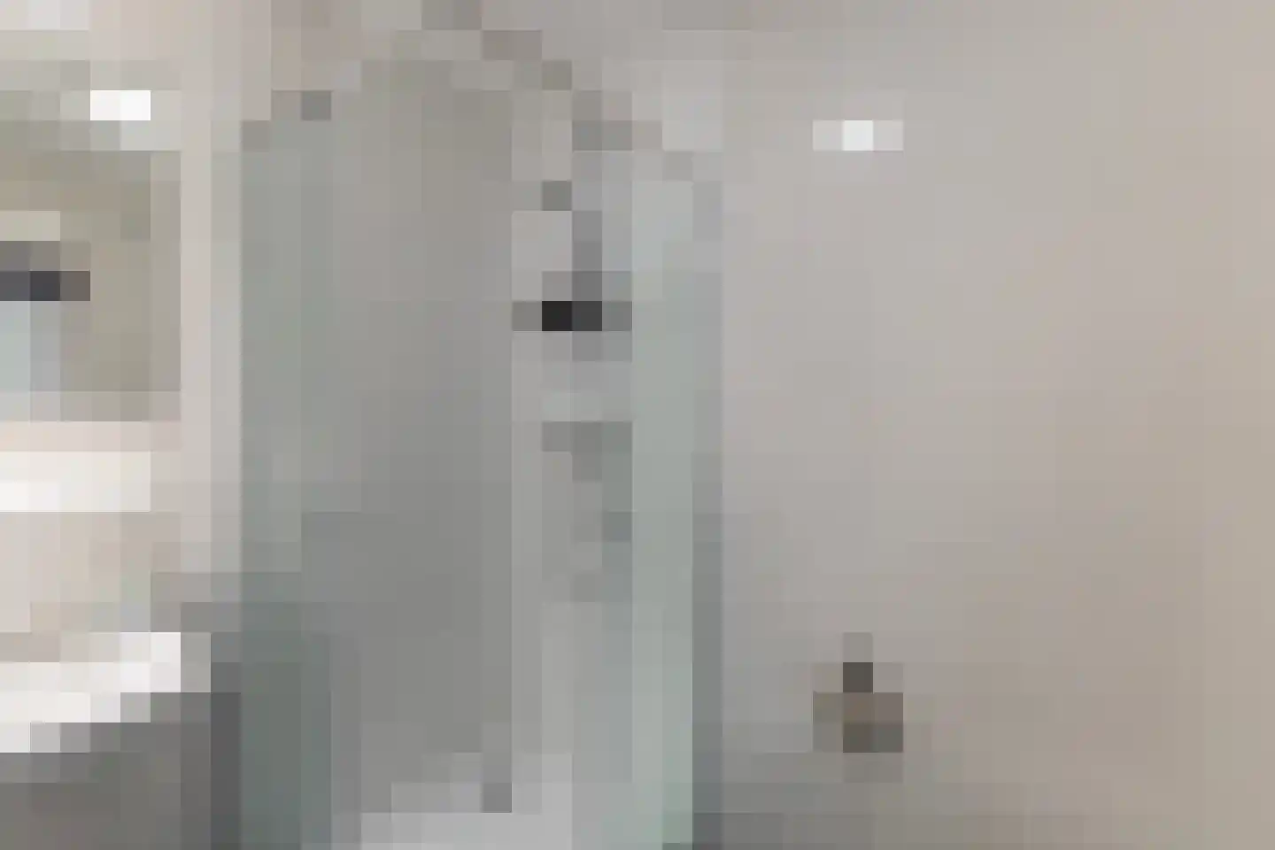 Jongebuorren 40 Terherne thumbnail 28