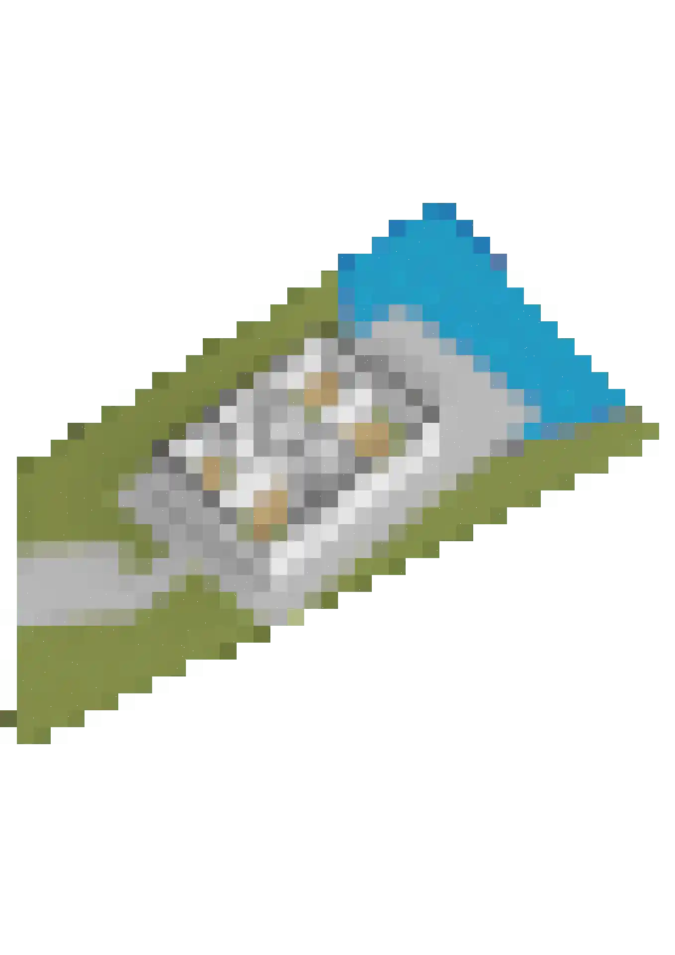 Jongebuorren 40 Terherne thumbnail 36