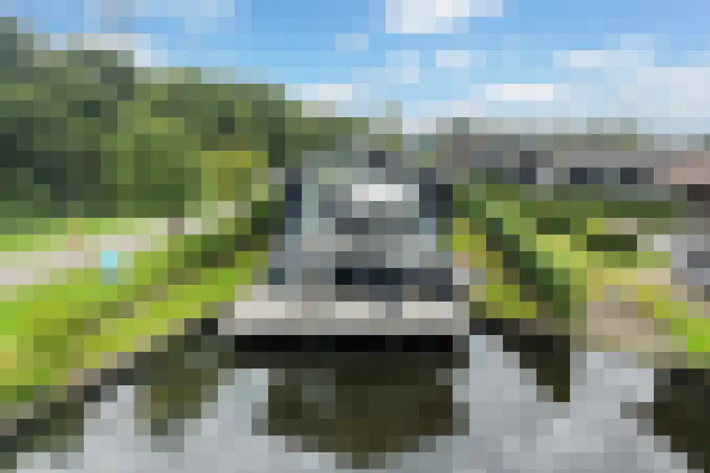 Jongebuorren 40 Terherne thumbnail 4