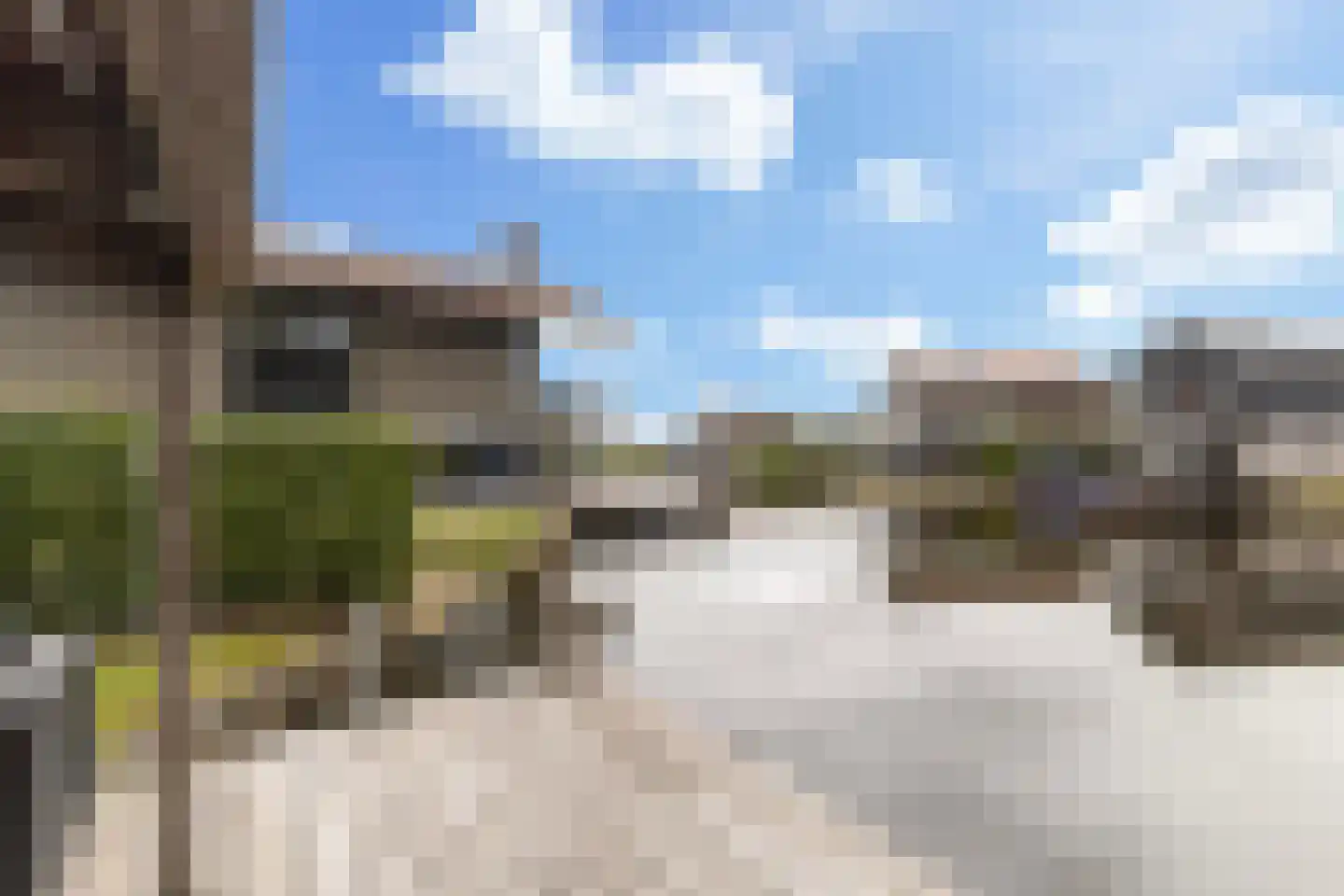 Jongebuorren 40 Terherne thumbnail 5