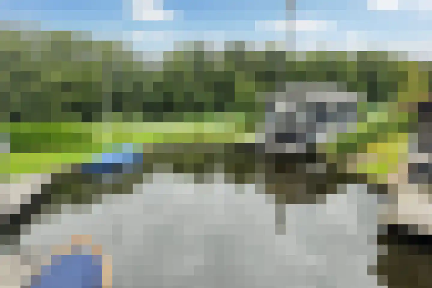 Jongebuorren 40 Terherne thumbnail 7